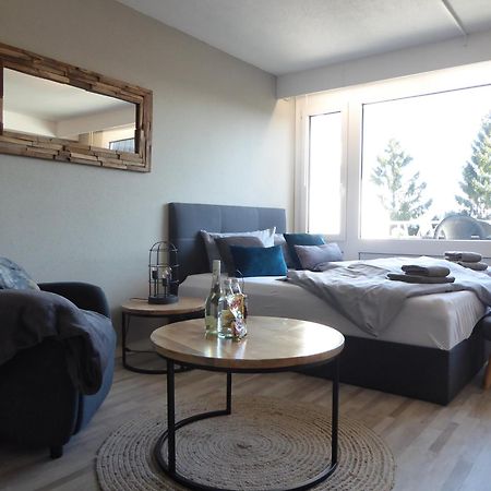 Mountain Suite Winterberg Pool Sauna Hund 4 Pers Wifi Near Bikepark المظهر الخارجي الصورة