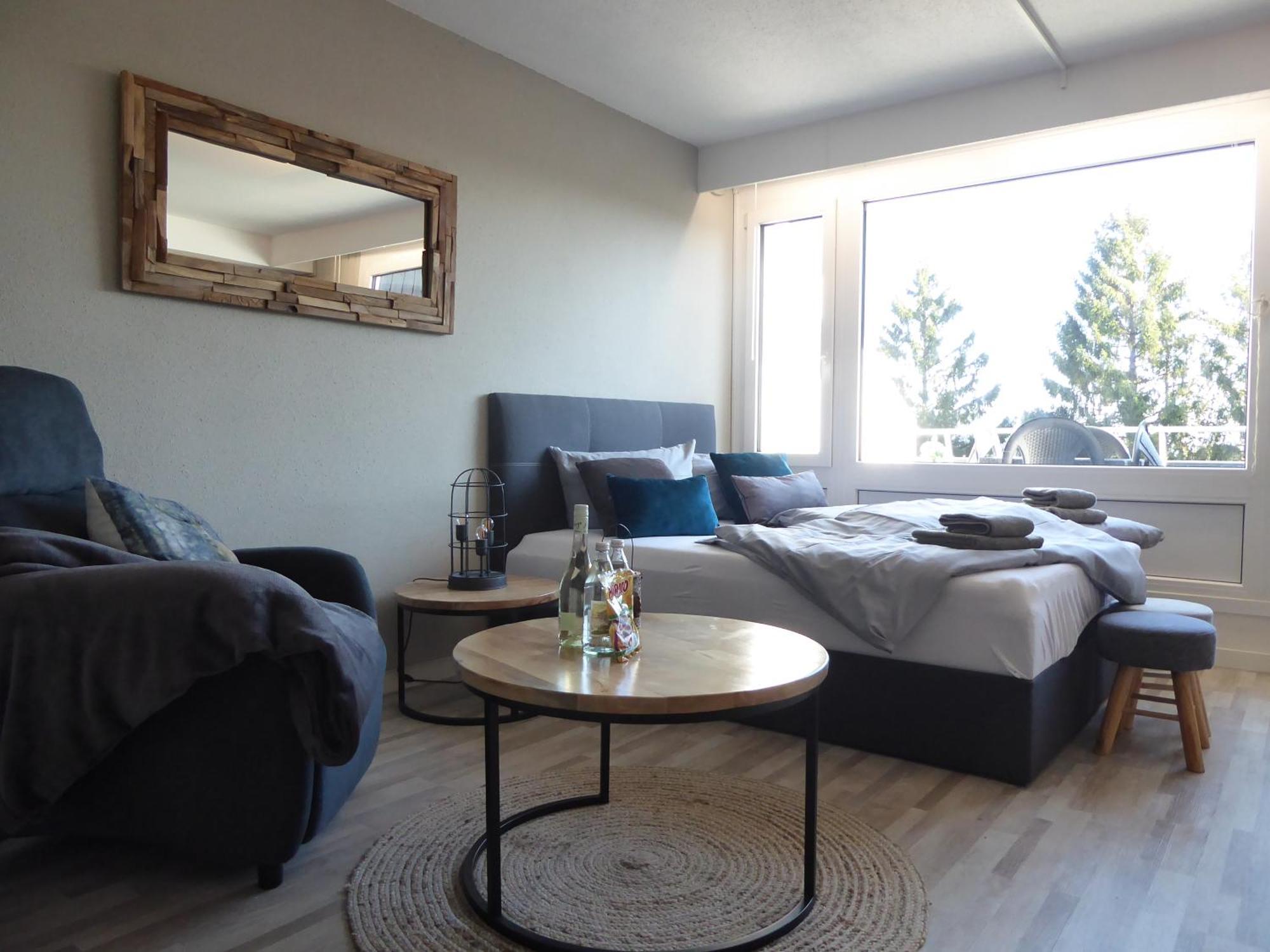 Mountain Suite Winterberg Pool Sauna Hund 4 Pers Wifi Near Bikepark المظهر الخارجي الصورة