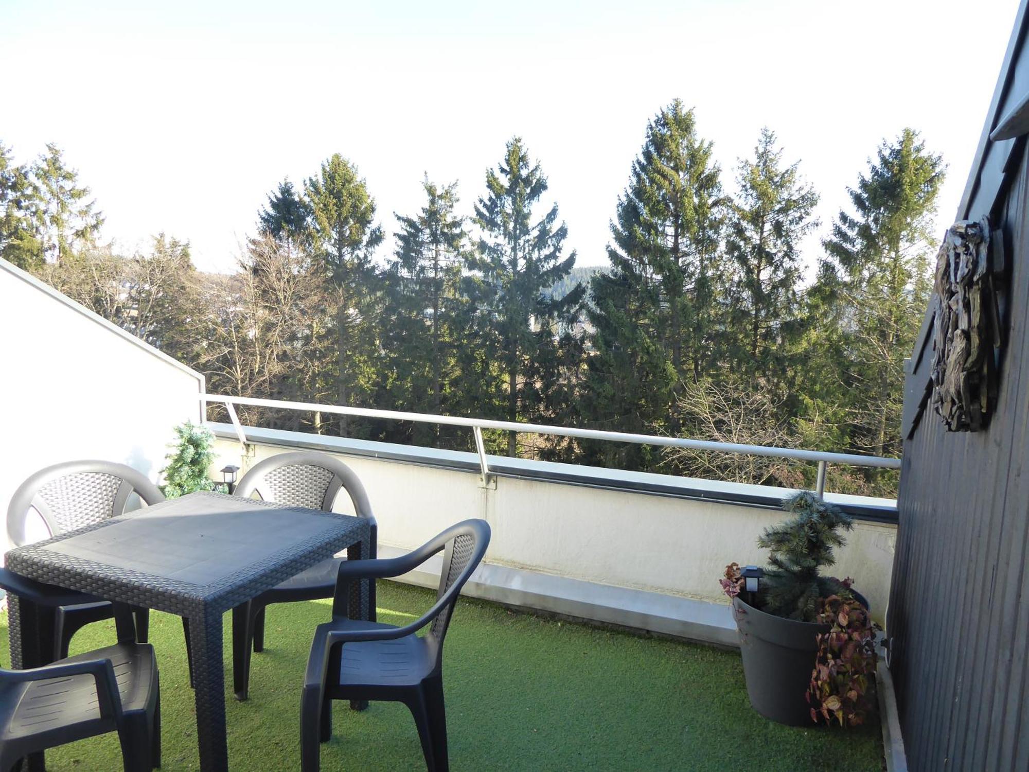 Mountain Suite Winterberg Pool Sauna Hund 4 Pers Wifi Near Bikepark المظهر الخارجي الصورة